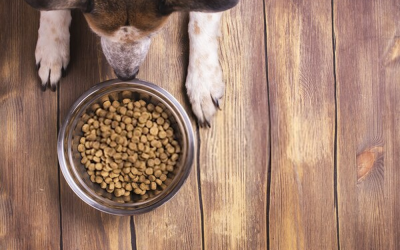 Learn how to read the labels of pet food.